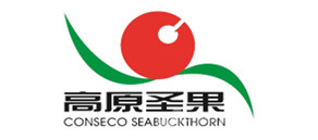 合作品牌